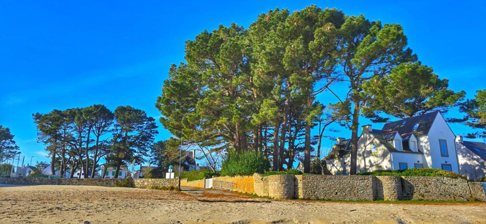 Cocon Neuf - 6 A 8 Pers 3 Chb Proche Plage, Port, Centre Ville Saint-Pierre-Quiberon Eksteriør bilde
